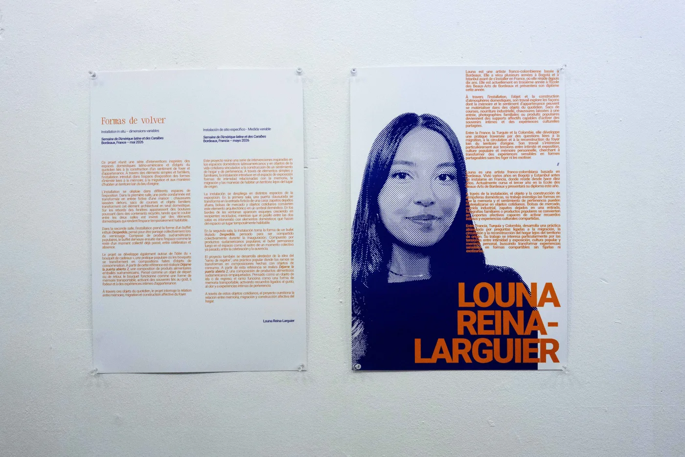 Oeuvre de Louna Reina-Larguier, vue 4
